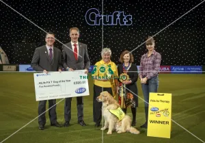 PAT dog of the year