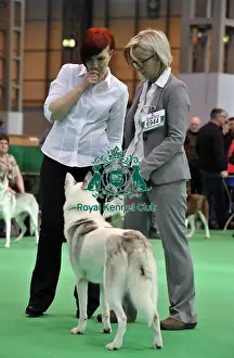 Crufts 2015
