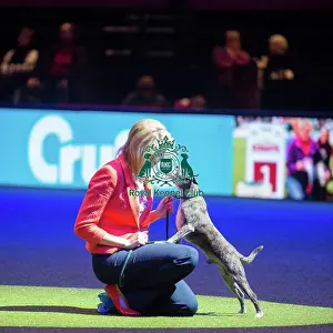 Crufts 2015 Prints: Crufts 2015