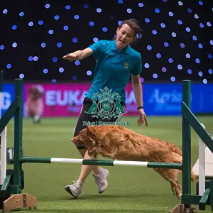 Crufts 2015