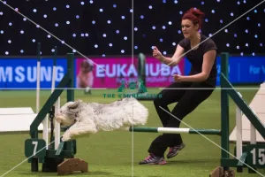 Crufts 2015