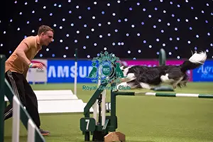 Crufts 2015