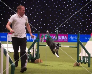 Crufts 2015