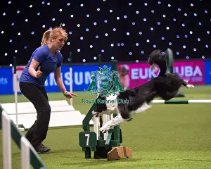 Crufts 2015