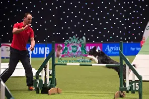 Crufts 2015