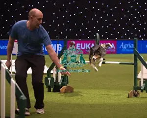 Crufts 2015