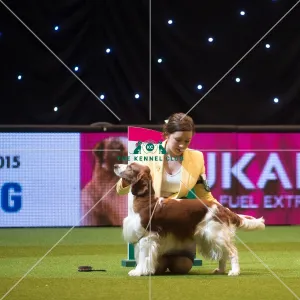 Crufts 2015