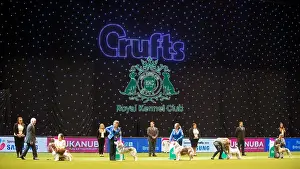 Crufts 2015