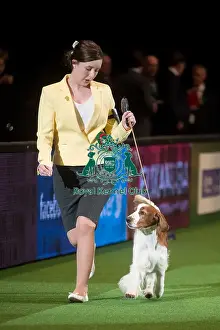 Crufts 2015
