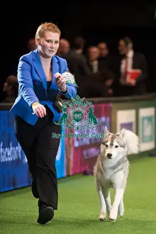 Crufts 2015