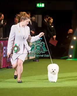 Crufts 2015
