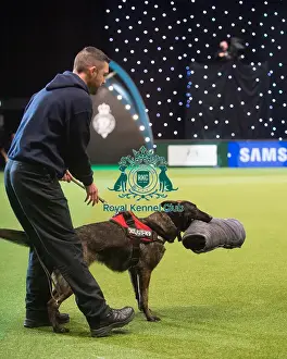 Crufts 2015