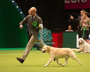 Crufts 2015