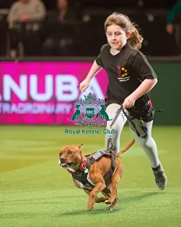 Crufts 2015