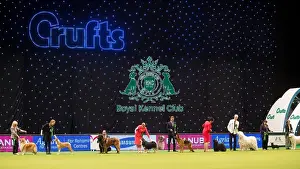 Crufts 2015