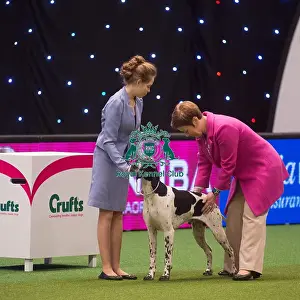 Crufts 2015