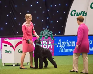Crufts 2015