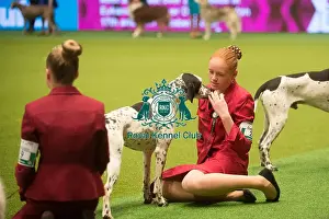 Crufts 2015