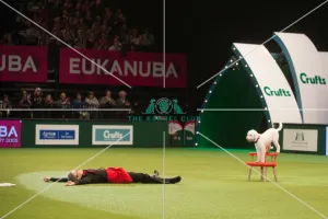 Crufts 2015