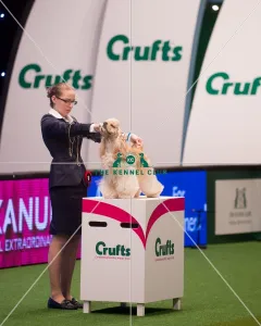 Crufts 2015