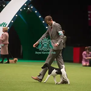 Crufts 2015