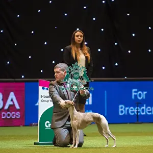 Crufts 2015