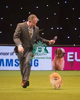 Crufts 2015