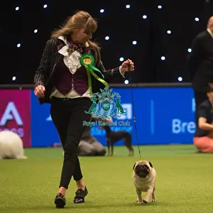 Crufts 2015