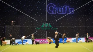 Crufts 2015