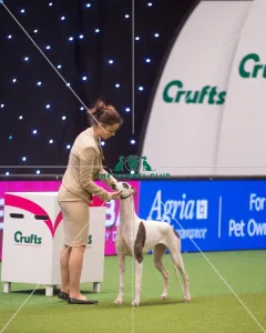 Crufts 2015