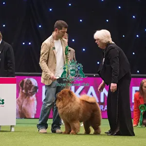 Crufts 2015