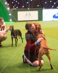Crufts 2015