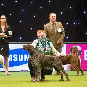 Crufts 2015