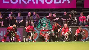 Crufts 2015