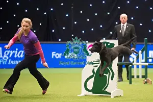 Crufts 2015