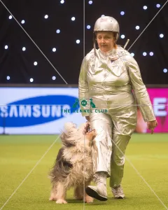 Crufts 2015