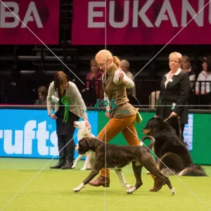 Crufts 2015
