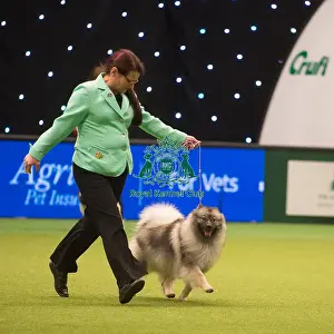 Crufts 2015