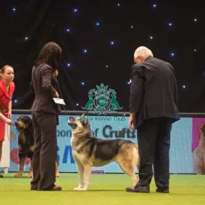 Crufts 2015