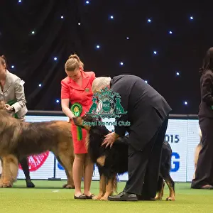 Crufts 2015