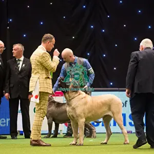 Crufts 2015