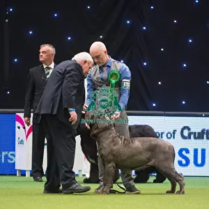 Crufts 2015