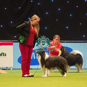 Crufts 2015
