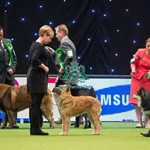 Crufts 2015