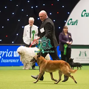 Crufts 2015