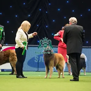 Crufts 2015
