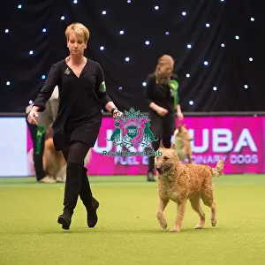 Crufts 2015