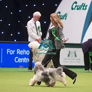 Crufts 2015