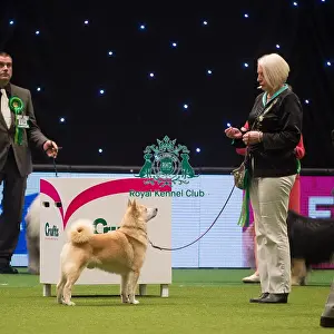 Crufts 2015