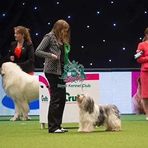 Crufts 2015